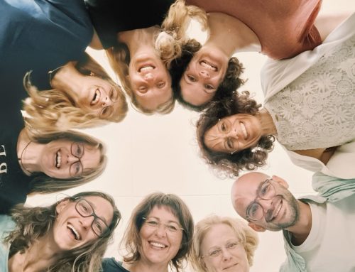 4. Modul der Basisausbildung 2025