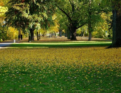 Newsletter Herbst 2025